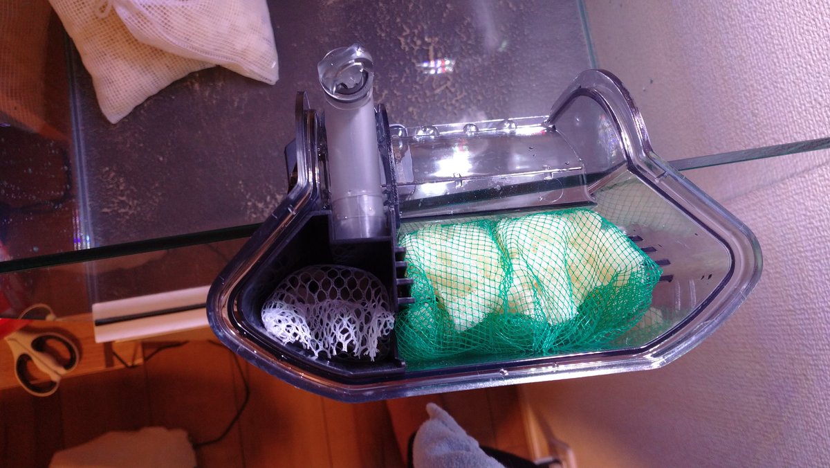 Absk 外掛けフィルターx3はデフォでろ過材ボックス付き Amp 水を下から循環させるタイプなので 生物濾過改造要らずでとてもよきよき もうすでに選んで良かった感ある T Co Xcron8vhsl Twitter Absk 外掛けフィルターx3はデフォでろ過材ボックス付き Amp 水を下から循環させるタイプなので 生物濾過改造要らずでとてもよきよき もうすでに選んで良かった感ある T Co Xcron8vhsl Twitter