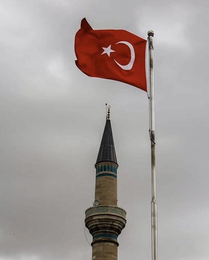 Bayrağı Bayrak Yapan Üstündeki Kandır Vatansızlar Terör Sevicileri Bunu Ne Bilsin Onların Türklüğünden Bile Şüphe Ederim