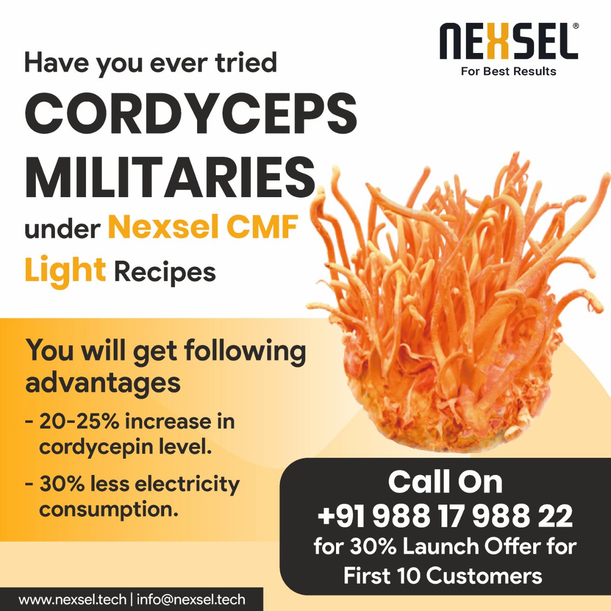 NexselT's tweet image. We are launching #cordycep millitries grow light #spectrum for better result
You will get the following advantages using our NxCMF Spectrum.
 1. 20-25% increase in cordycep level
 2. 30% less electricity consumption.
For more detail contact us on wa.me/+918604486047

#nexsel