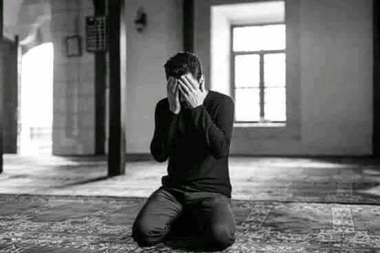 لن نعتذر لغير الله فهو الوحيد الذي قصرنا 
في حقه و سترنا . .

#طيفك_سكني