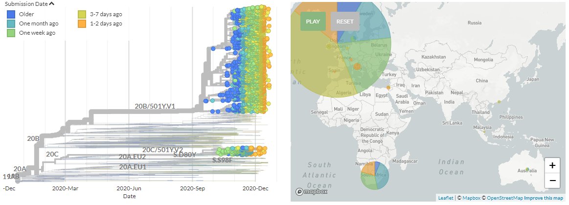 The latest S:N501 focal build is now up, with data from 28th Dec:We can see new sequences from Italy, Israel, Spain, France, & Ireland in the SE England variant (501Y.V1) & Switzerland in the South African variant (501Y.V2).1/8 https://nextstrain.org/groups/neherlab/ncov/S.N501?c=recency&p=grid&r=country