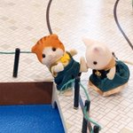 シルバニアファミリー シルバニア に関連する61件のまとめ Togetter