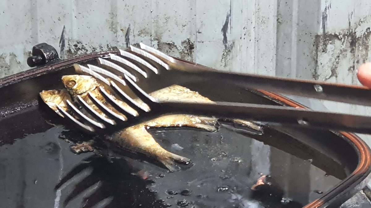 JmPVillanueva's tweet image. Parating na &apos;yung Volt In Box ko. Ako eto, tuyo-itlog muna haha #tipidmode 🤣🤣