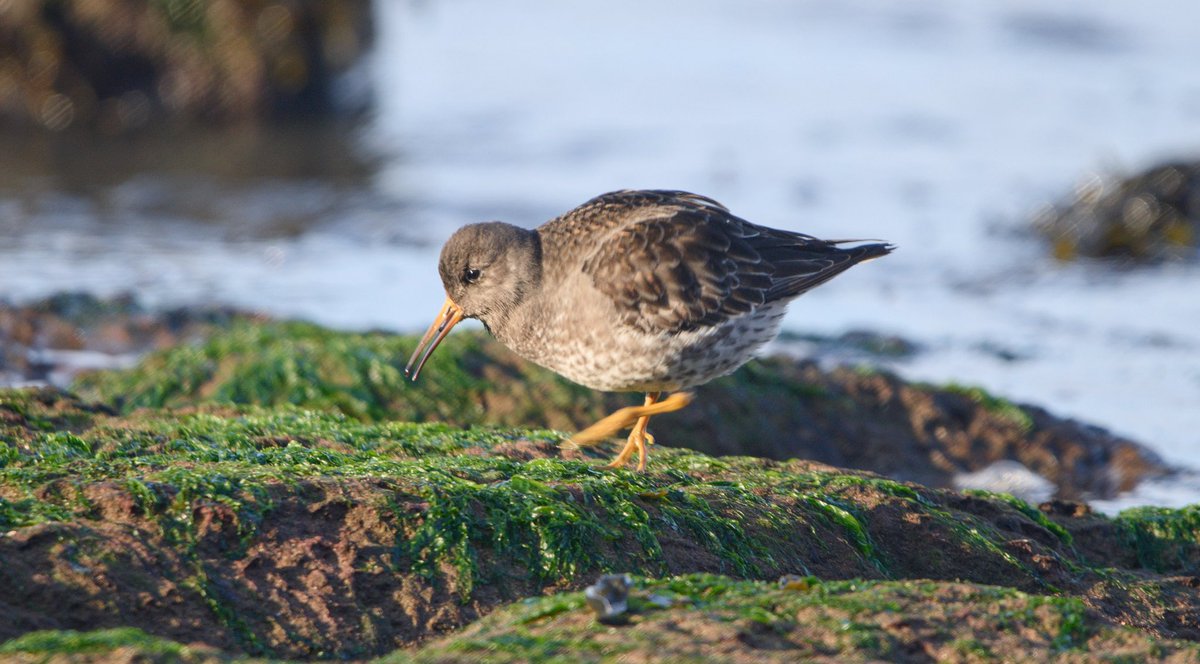 Rob Fergie tweet media