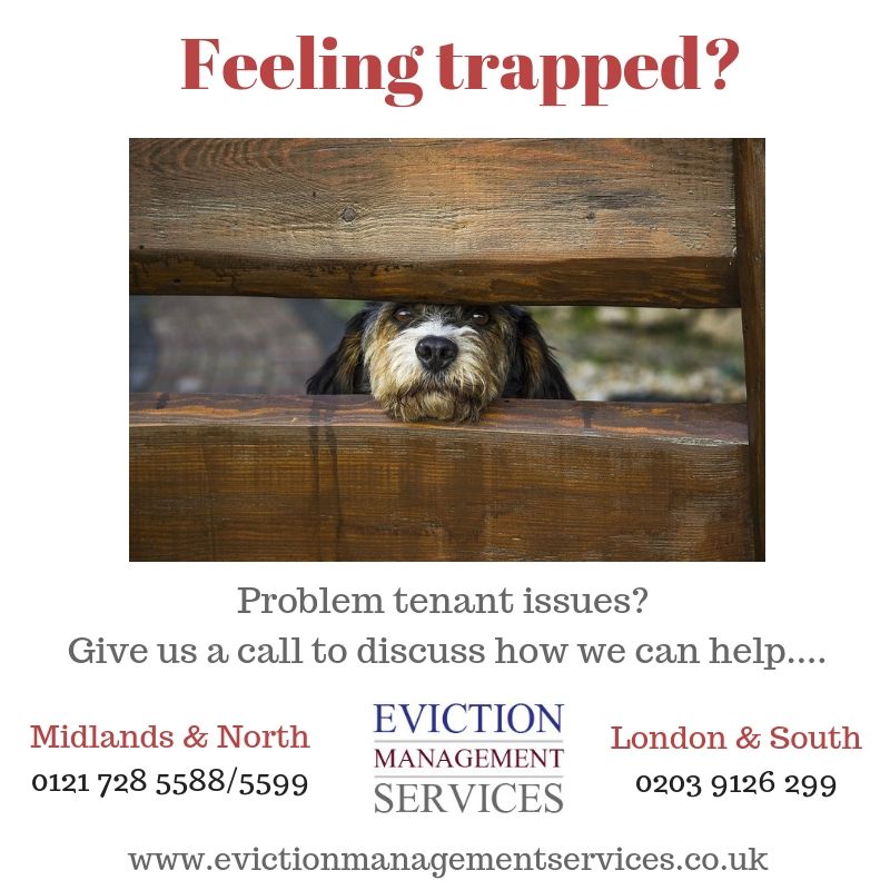 EvictionHelper's tweet image. #problemtenant #tenanteviction #evictatenant #evictionservice