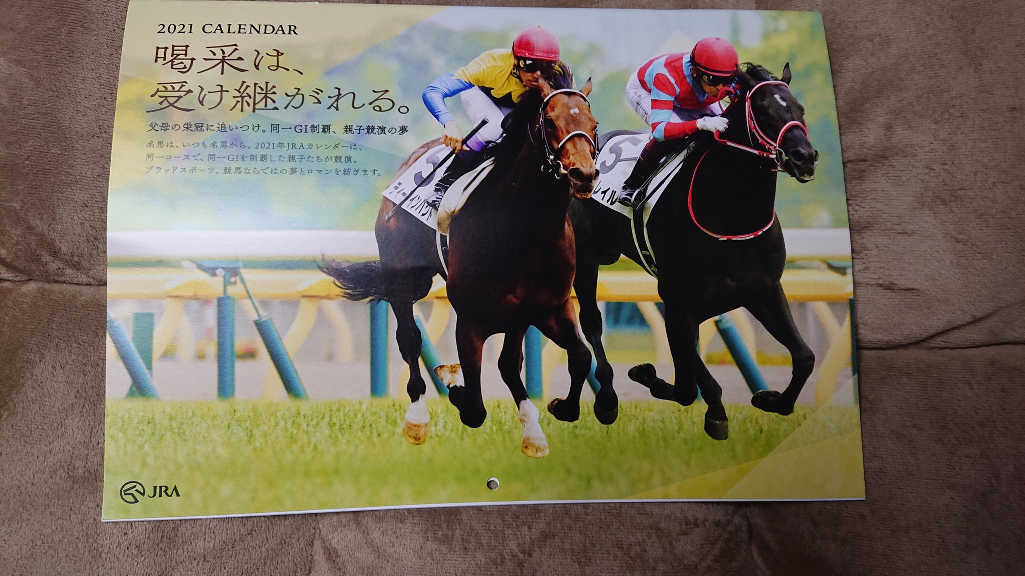 Taihan Tobu Jraの来年のカレンダーが届きました 喝采は受け継がれる というコンセプト 親子が並走している合成写真で綴られています なかなか凝ってて良いです 写真は名馬ディープインパクトと今年の3冠馬コントレイル親子 Jraカレンダー