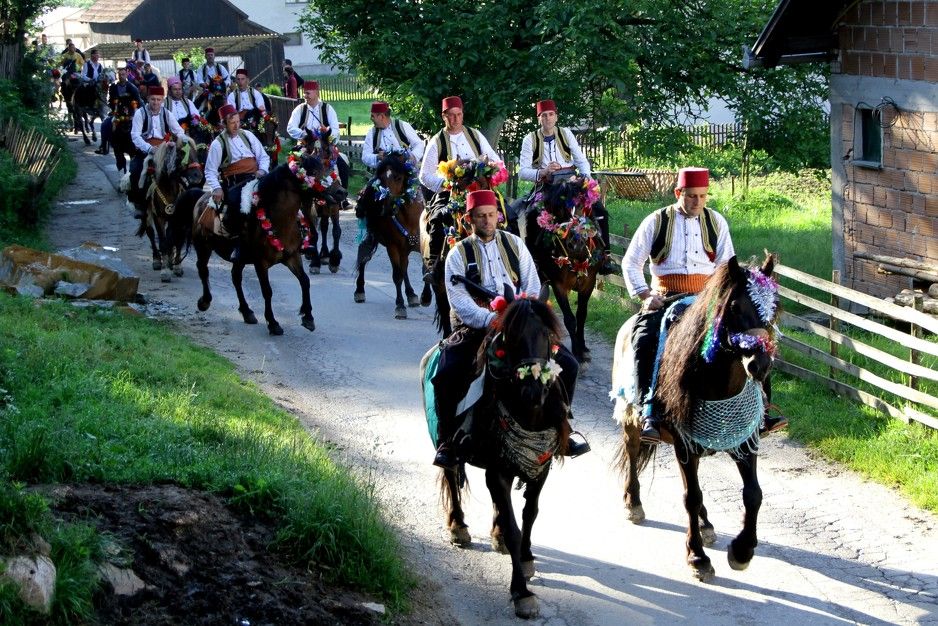 𝖳𝗁𝖾 𝖡𝗈𝗌𝗇𝗂𝖺𝗄𝗌 (𝗍𝗁𝗋𝖾𝖺𝖽)