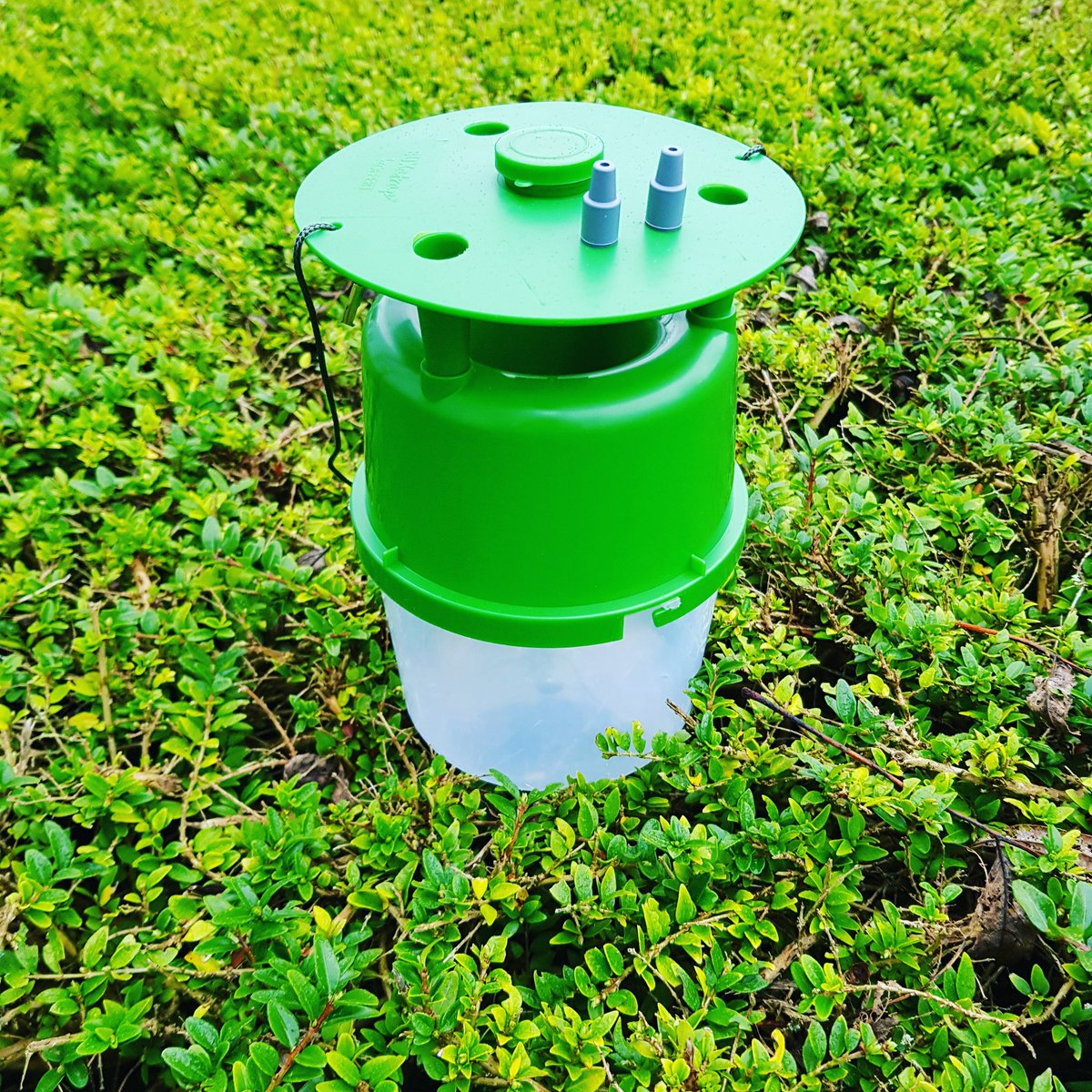 NIEUW IN ONS ASSORTIMENT. 
Buxatrap pakket. Bekijk het pakket onze webshop.
biopol.nl/artikel/buxatr…