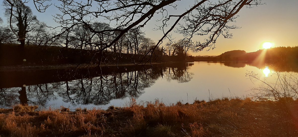 Fabrics & Interiors tweet media