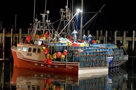 ROBERT MILLER Suggestions for solving N.S. lobster fishery dispute The Chronicle Herald