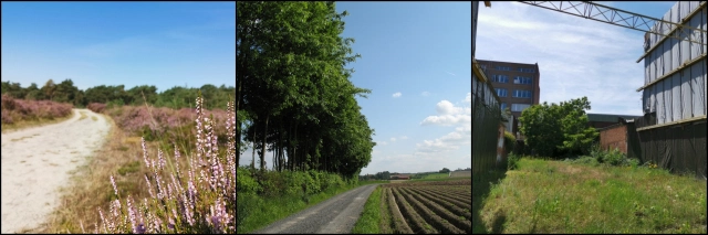 JLembrechts's tweet photo. Next up was our #NatureOrNot survey, launched in July. What we wanted? Opinions about nature! How do you see nature, and how does that affect the way we should be conserving the valuable bits of green we have left?
https://t.co/W6egGB6W0A https://t.co/NizgzuTLoR