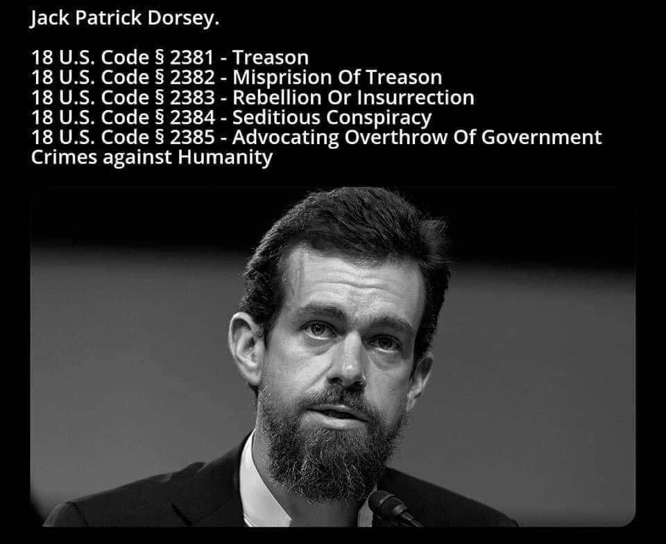  #TreasonAgainstAmerica 1/12