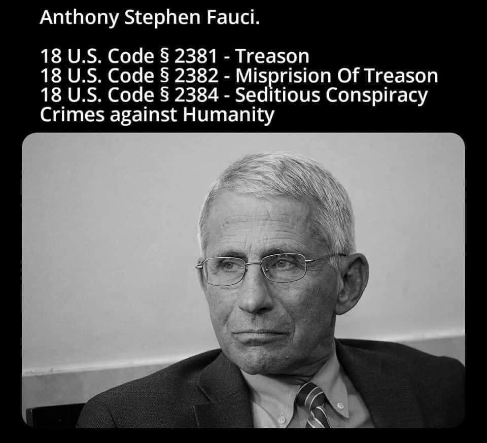  #TreasonAgainstAmerica 4/12