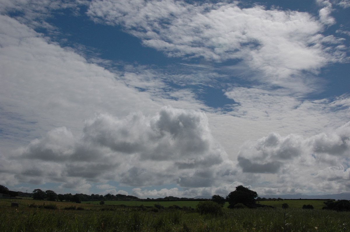 Exploring Afon  #Nodwydd  #Anglesey  #BigSky Country - you can see all the way to  #Snowdonia  #Eryri from the headwater wetlands in Cors Bodeilio  #StayingLocal  #Covid19  #RiversOfWales  #wetland  #nature  #landscape  #conservation  #heritage  #thread  #Wales