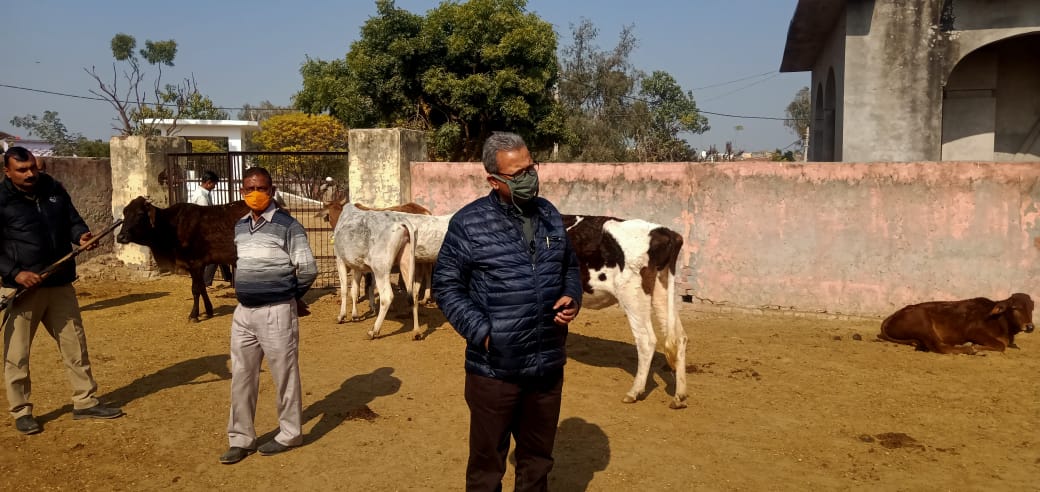 गौशाला ग्राम अटाली का निरीक्षण