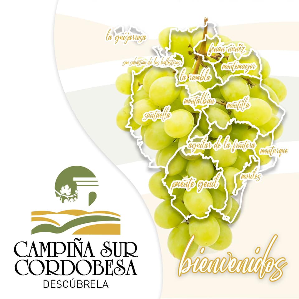 Estas Navidades, os animamos a conocer Monturque, dentro de los pueblos de la Campiña sur cordobesa, de una forma diferente.

360.miwebsocial.com/campiñasur/