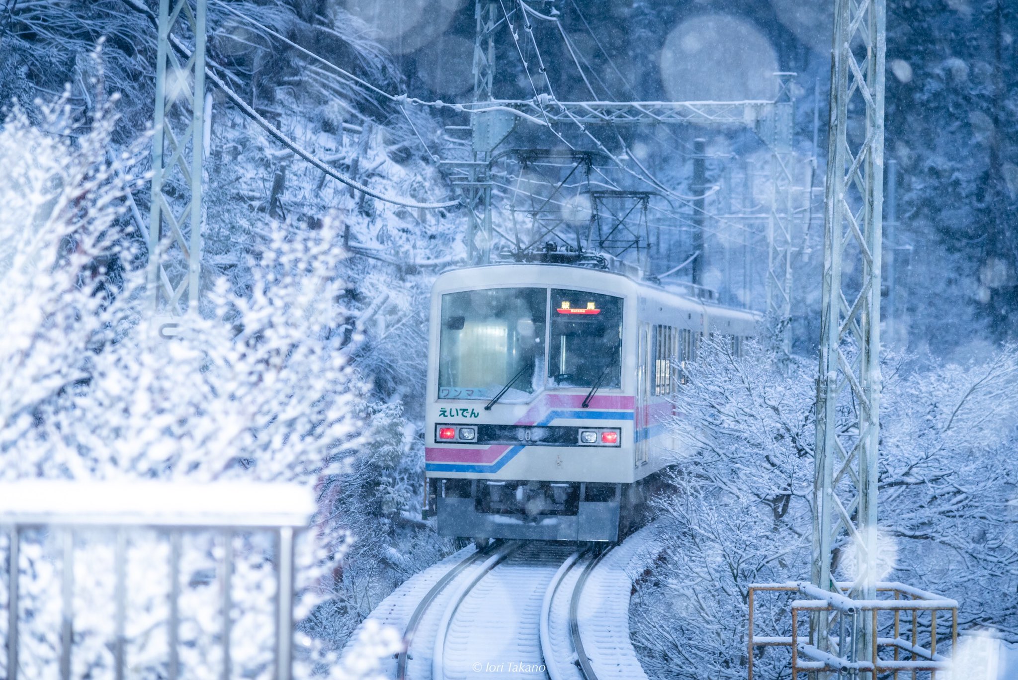 雪の梅 Iori Takano on X: 