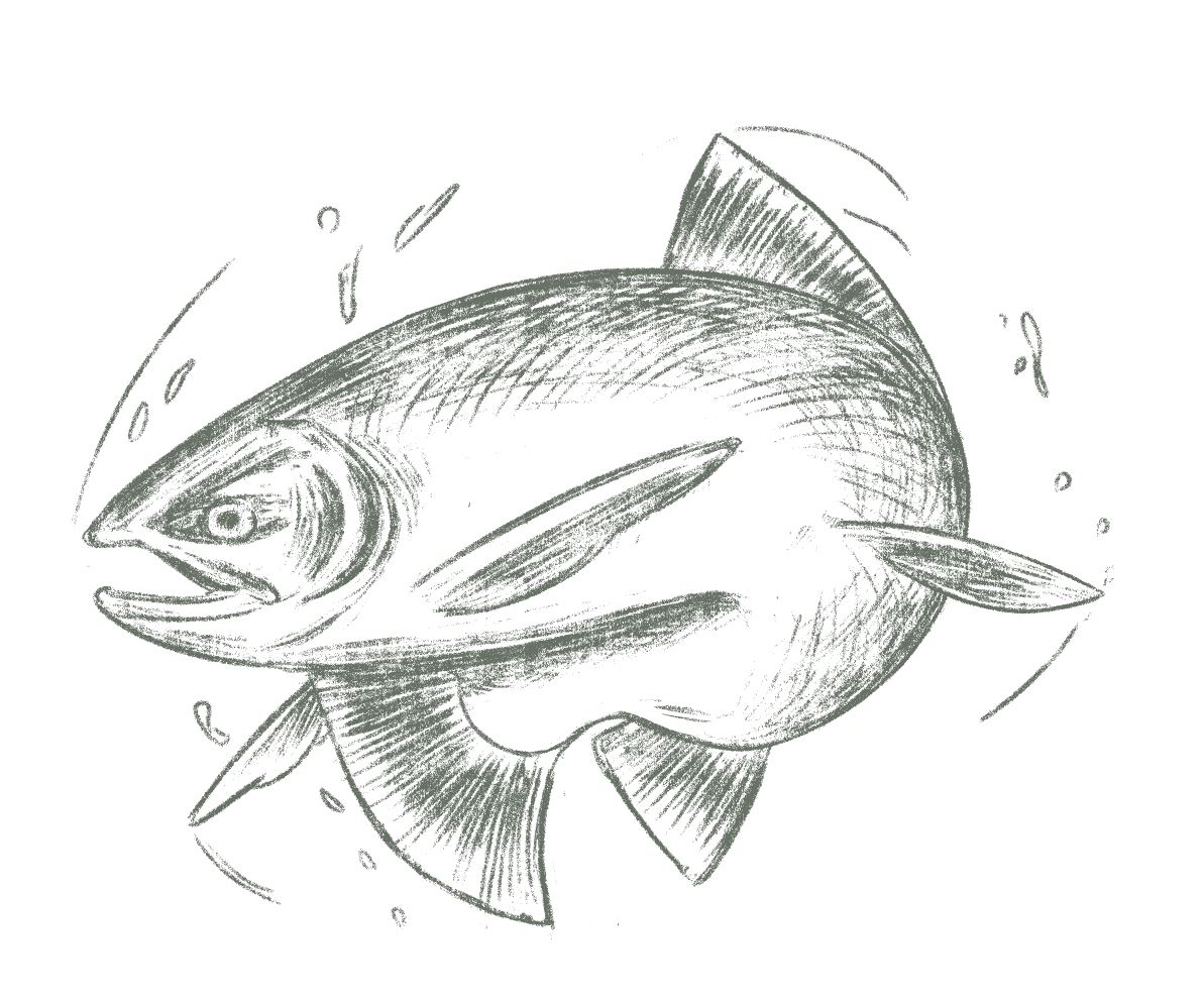 illosausage's tweet image. I got to do some menu illos for a hotel recently. Pretty tasty brief! Had not heard the word 'charcuterie' before