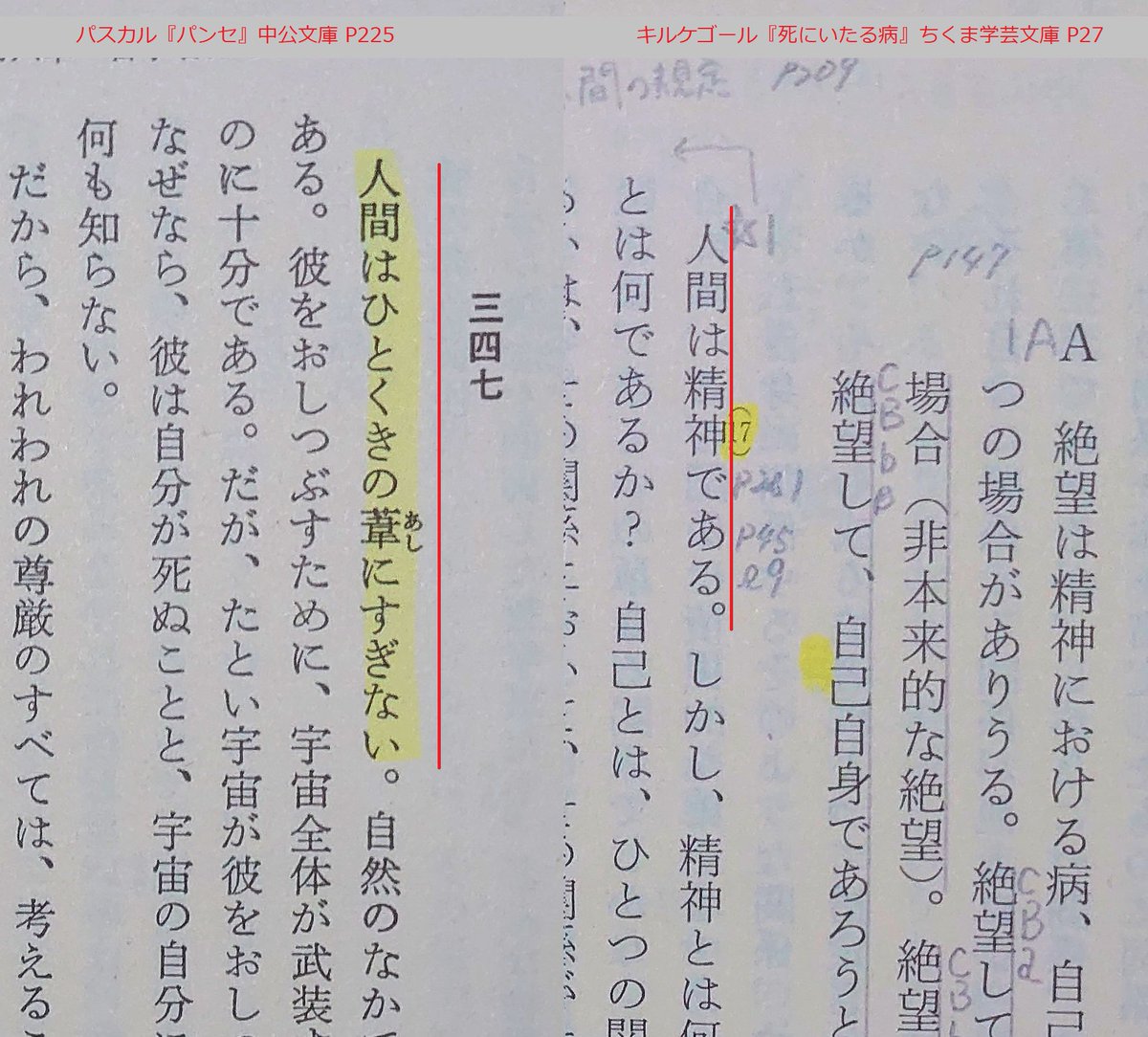 人間は考える葦である 意味 人間は考える葦である 意味