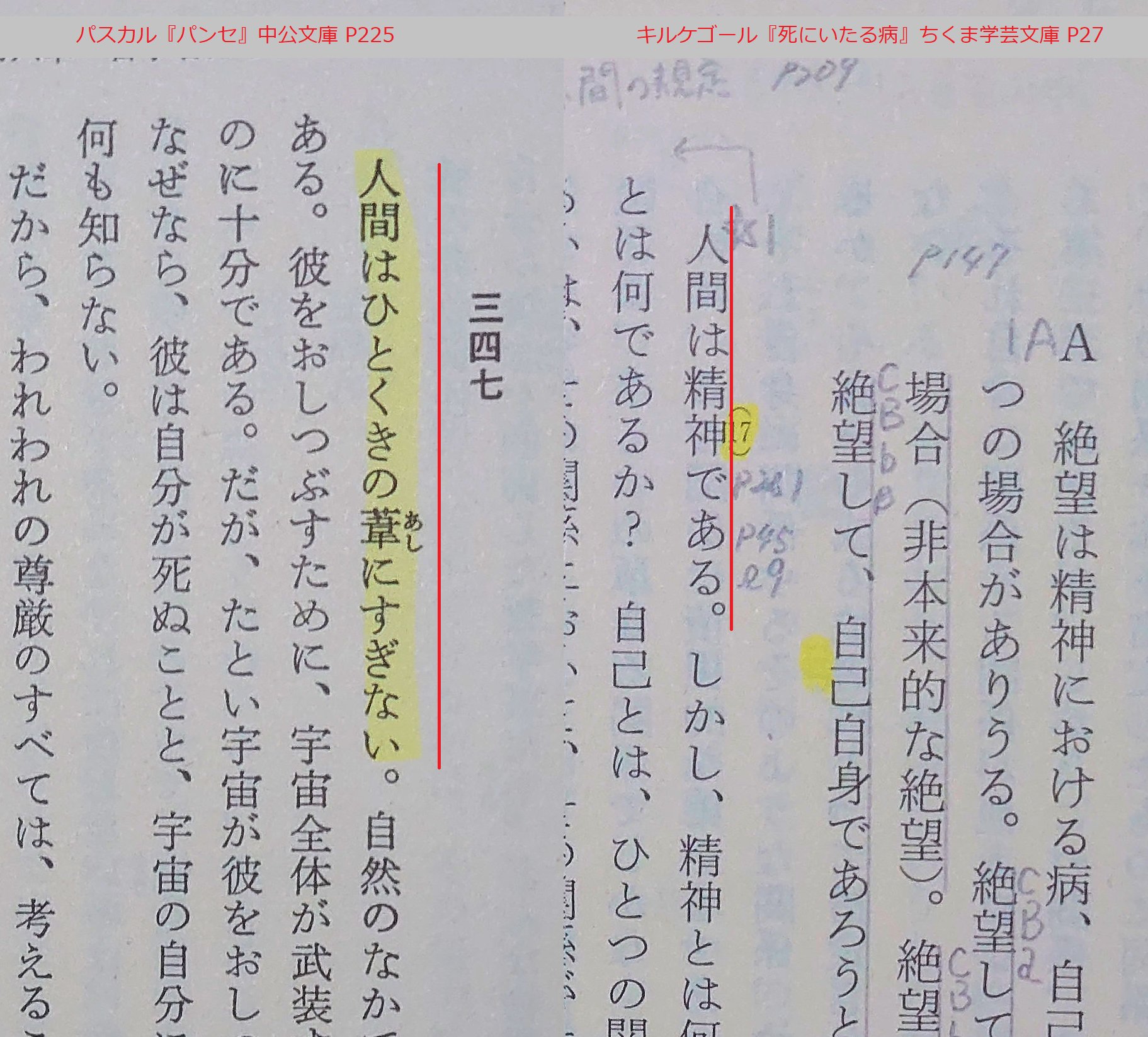 哲学書新刊情報 詳説 人間は考える葦である パスカル 人間は精神である キルケゴール などは 人間への新たな見方を与え考えを深めさせる その意味で 新たな 定義 は有益な表現だ しかし それが深い洞察に基づかないとき とりわけ