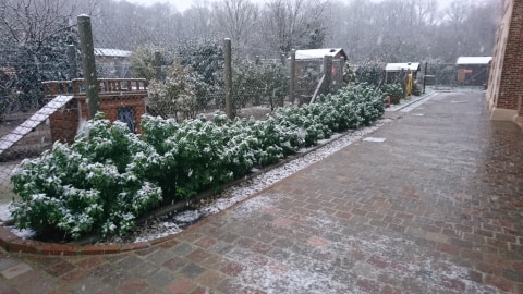 FBB / La vie de nos 3 refuges et des animaux 🏡 tweet media