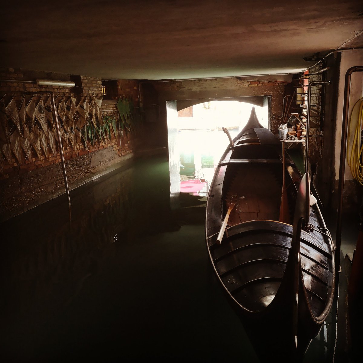 #AsdGloriaRogliani 🌸 #Sport #Natura #Tradizioni #CavanaTintoretto #VogaAllaVeneta #GloriaRogliani #Venezia #Venice