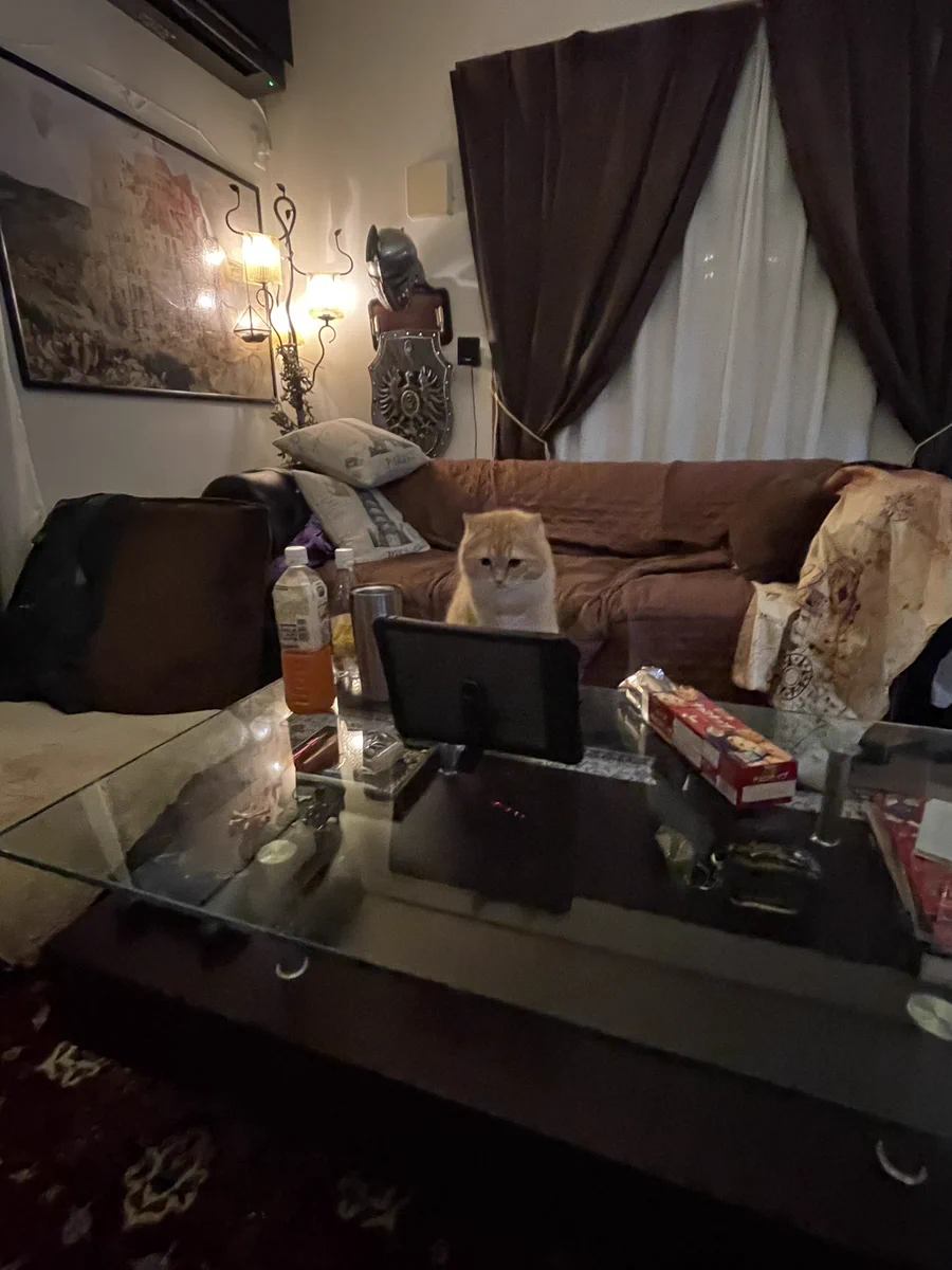 トイレに行っている間に？ネコによってオンライン飲み会が盛り上がるwww