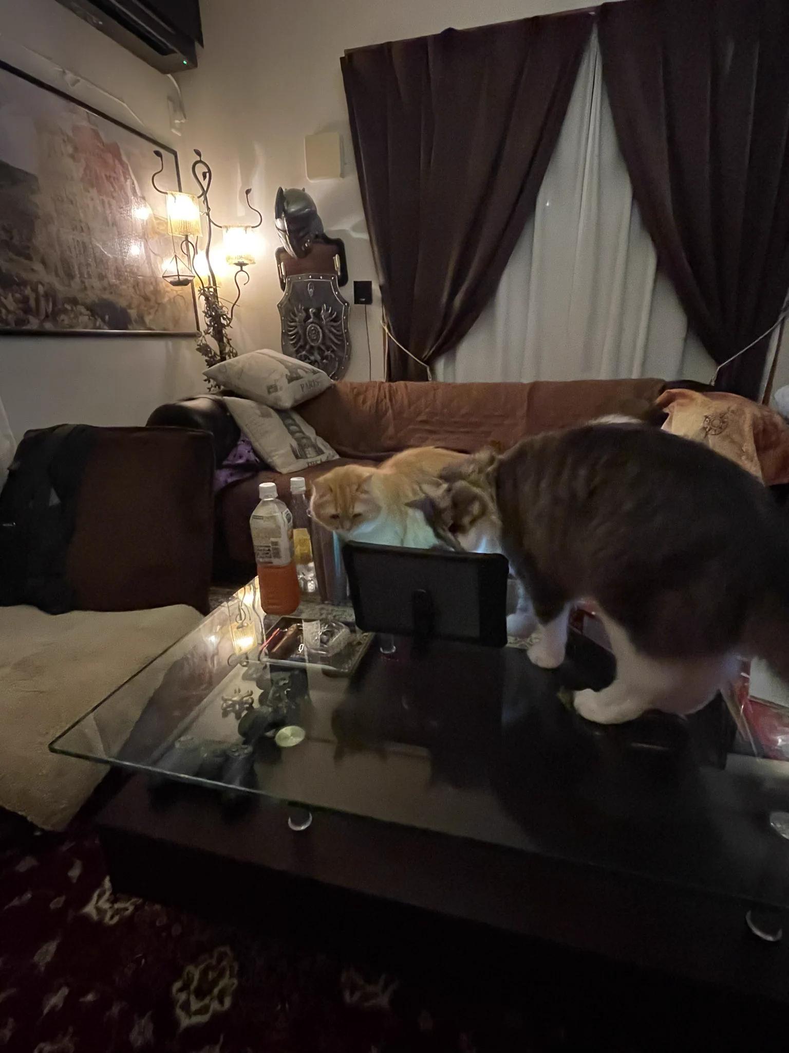 トイレに行っている間に？ネコによってオンライン飲み会が盛り上がるwww