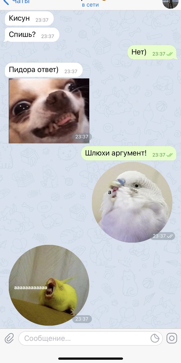 TrueORLOVA's tweet photo. Love is... https://t.co/AYfHKY7T1i