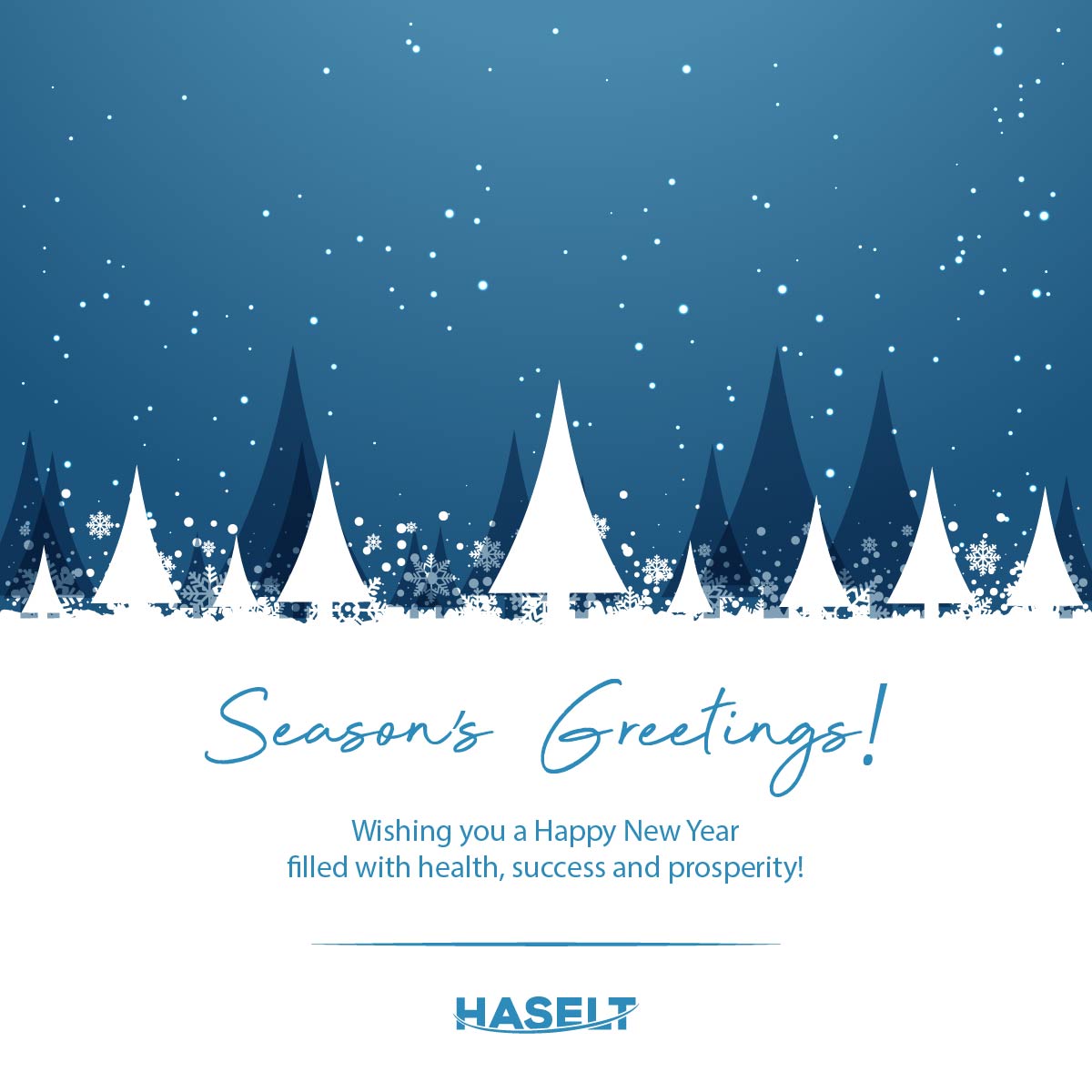 Season's Greetings from our Team with all good wishes for the New Year 💙
