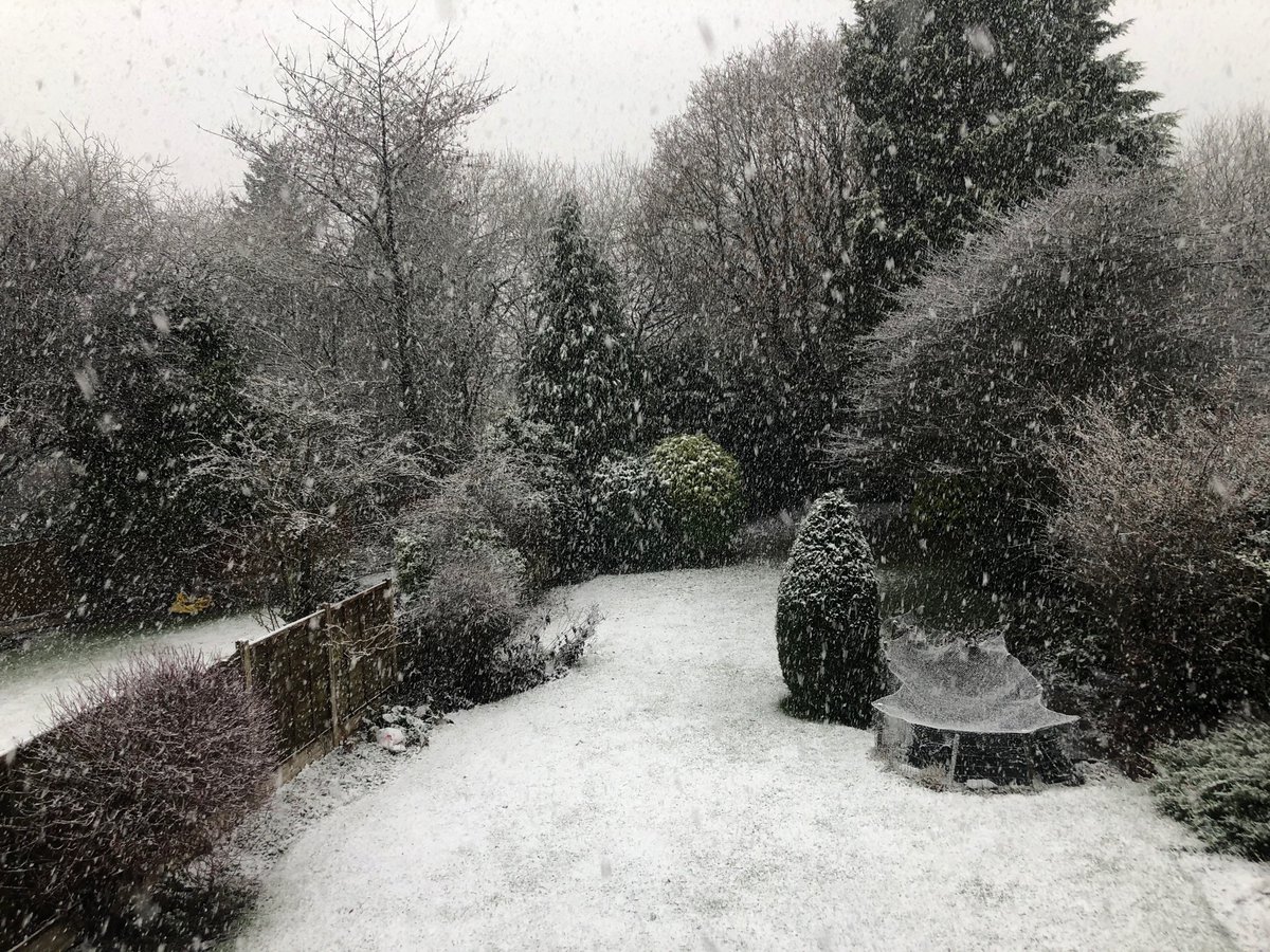 Let it snow