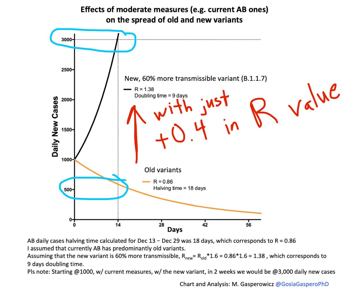 2) In other words, what would bring down daily cases in half under the old common  #SARSCoV2 strain down from 1000 to 500 cases a day, will instead yield a tripling of 3000 cases a day within just 2 weeks!!!