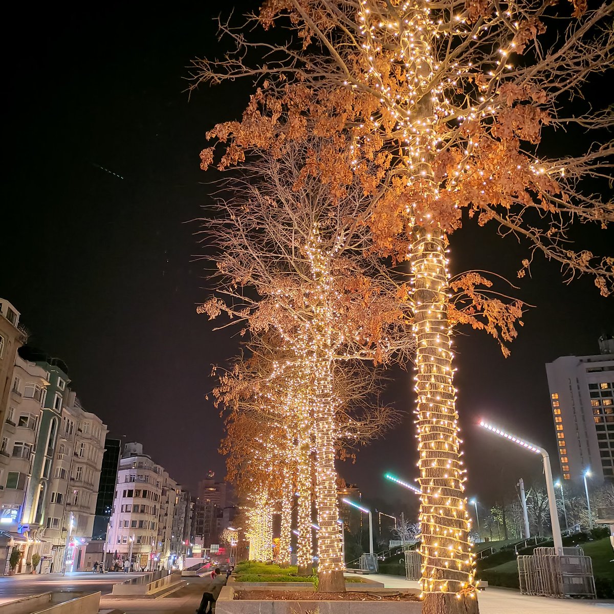 WAEL_ TR tweet media