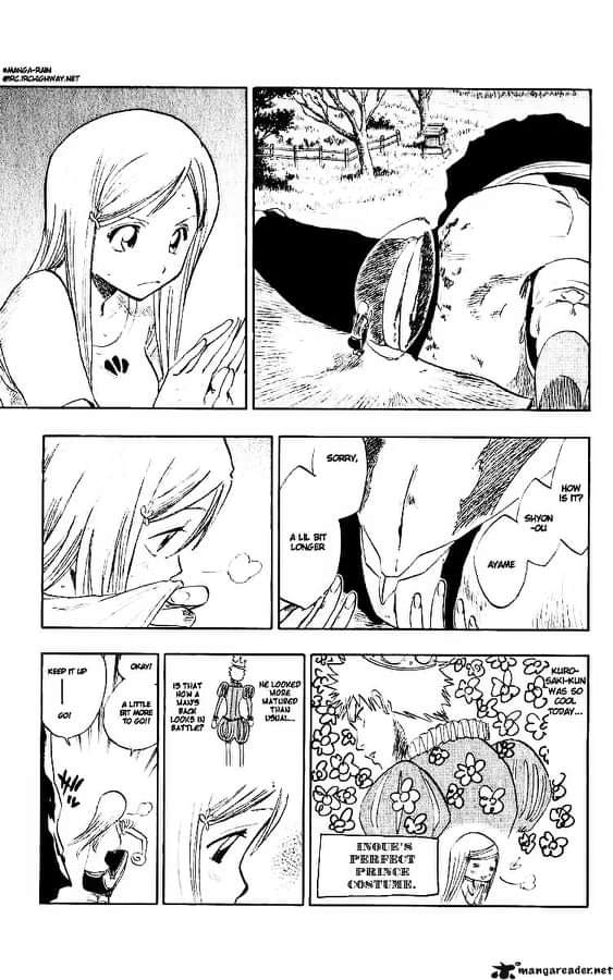 I would have loved to see in the anime the scene of Orihime imagining Ichigo in a prince costume...They also eliminated the scene where Ichigo is worried about Orihime while healing Jidanbo.I find it adorable the way he goes to bring her water and tells her she can faint
