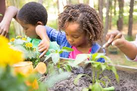 A thread about how exposure to nature can improve children’s ability to self-regulate, winding around to an interesting question about its different effects on boys and girls. 1/10