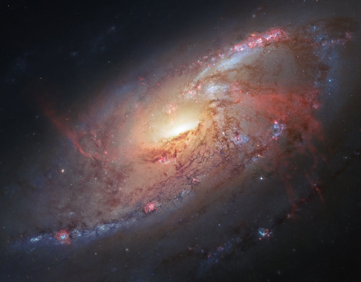 Spiral galaxy M106, 24 million light years away in Canes Venatici, has extra arms. Huge red swirls of gas on either side of the galaxy are the result of activity around a central supermassive black hole.Credit: NASA, ESA, Hubble Heritage Team (STScI/AURA), R. Gendler (for HHT)