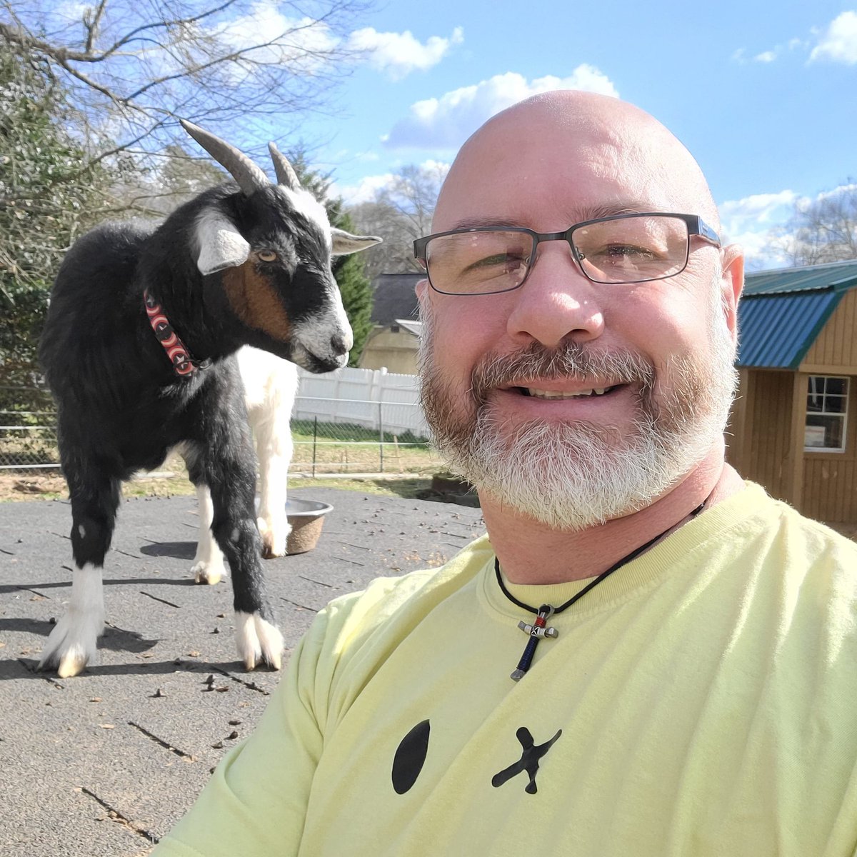 Here's hoping y'all goat and have a nice day! Captain Cash approves this message.  🤣