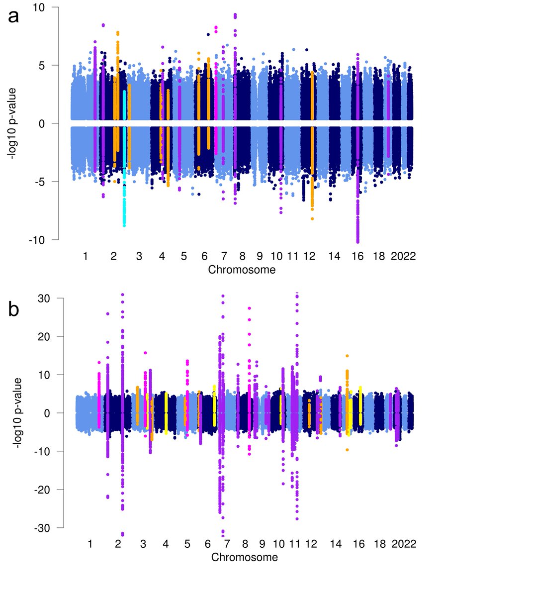 Inga Prokopenko (@inga_genetics) on Twitter photo New publication from the MAGIC <a href="/NatureComms/">Nature Communications</a> rdcu.be/cc5Vq on sex-dimorphic and sex-combined GWAS meta-analysis of fasting glucose and insulin in up to 151,188 individuals (73,089/50,404 women and 67,506/47,806 men). All GWAS sumstats available on magicinvestigators.org/downloads/ New publication from the MAGIC <a href="/NatureComms/">Nature Communications</a> rdcu.be/cc5Vq on sex-dimorphic and sex-combined GWAS meta-analysis of fasting glucose and insulin in up to 151,188 individuals (73,089/50,404 women and 67,506/47,806 men). All GWAS sumstats available on magicinvestigators.org/downloads/