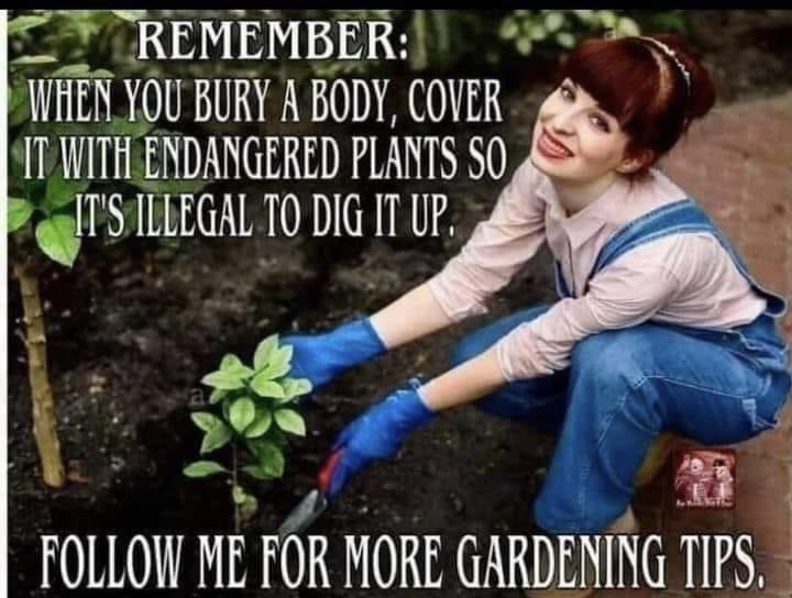 #horror #HorrorFamily #HorrorFam #horrorcommunity