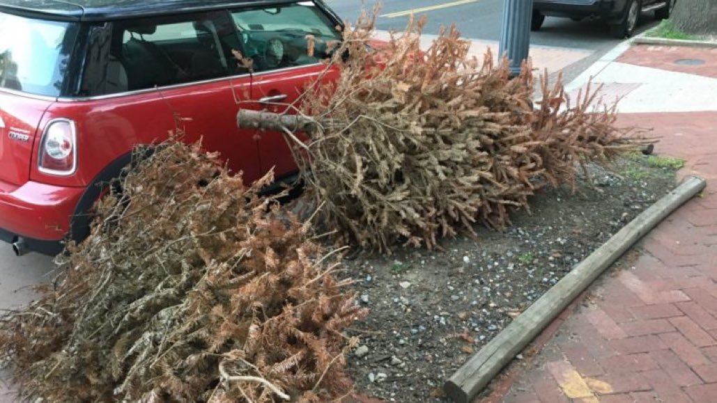 mcfrsPIO's tweet image. Curbside pick up! @mcfrs @MontgomeryCoMD If you’re having trouble parting with your Christmas tree, here’s a fact to motivate you: One-third of U.S. home fires that begin with Christmas trees occur in January. A dry tree can engulf a home in minutes. bit.ly/2s8BXDH