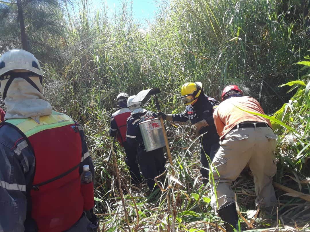 Intervención rápida del personal de Guardia, se atendió un Incendio de Vegetación 🚒🚛👨‍🚒en el Sector Campo de Oro, específicamente Residencias Masculinas, quedando extinguido y eliminando el peligro en el sector  #bomberos #incendio <a href="/DGNBRedanAndes/">Redan Los Andes</a> <a href="/DGNBEnLinea/">DGNB</a> <a href="/MIJP_Vzla/">MPPRIJP</a>