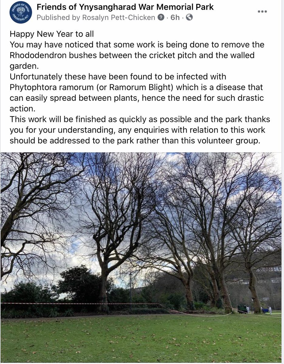 While this account is still on hiatus as the group is not meeting due to covid, we’re sharing this post from our facebook page explaining why the Rhododendron bushes need to be removed in the park. 

Thanks for understanding, and happy new year!