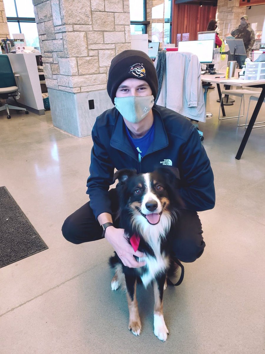 52 pets were adopted as part of our Anniversary Special, including Harley! A huge thank you to <a href="/JStaumont/">Josh Staumont</a> and his wife for sponsoring our New Year's special!