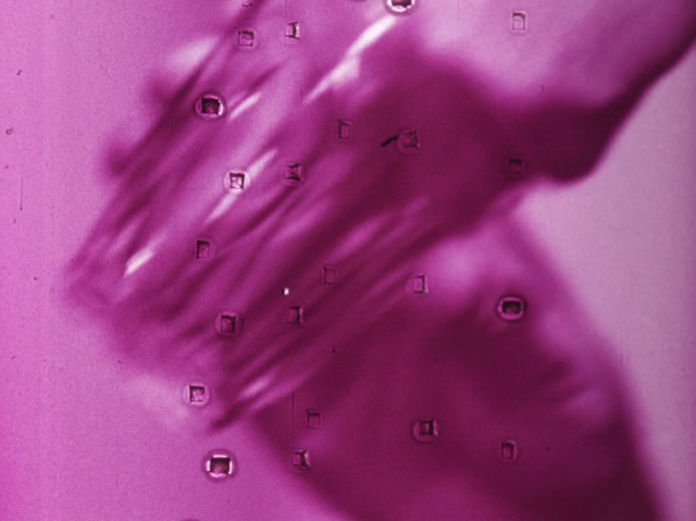 Ebba Wester tweet media