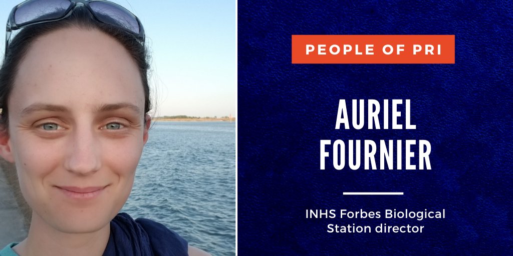 Illinois Natural History Survey tweet media