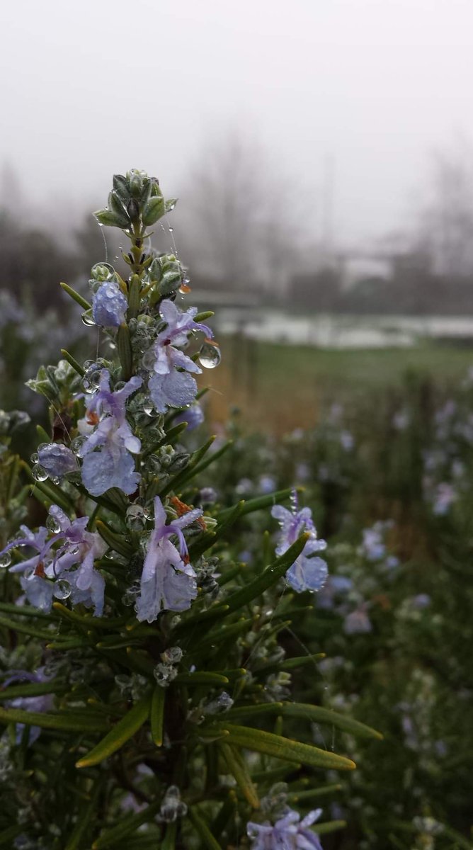 EarthwiseTSA tweet media