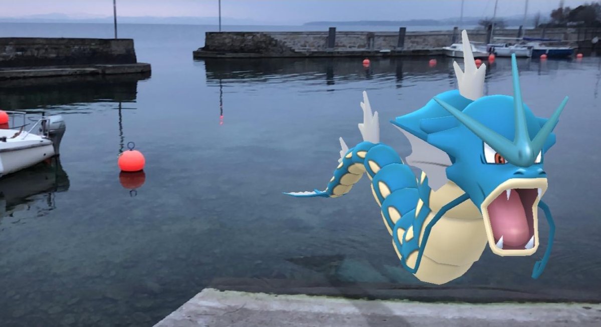Oh_Corealine's tweet image. #Neuchatel lake surprise...a very angry #gyarados!