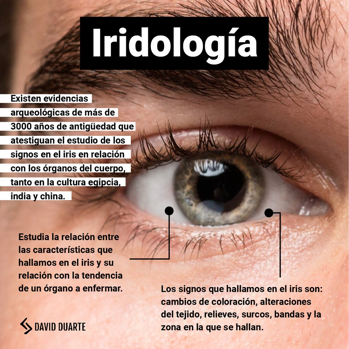 DavidDuarteMx's tweet photo. El iris dice mucho sobre el estado en que se encuentra el organismo. Es un sistema de diagnóstico que se ocupó en la antigüedad y en ocasiones (de forma presencial) se ocupa para conocer el desequilibrio interno.
#iridologia #unani #medicinaunani #DavidDuarte #DavidDuarteContigo https://t.co/HjO6dhrsk2