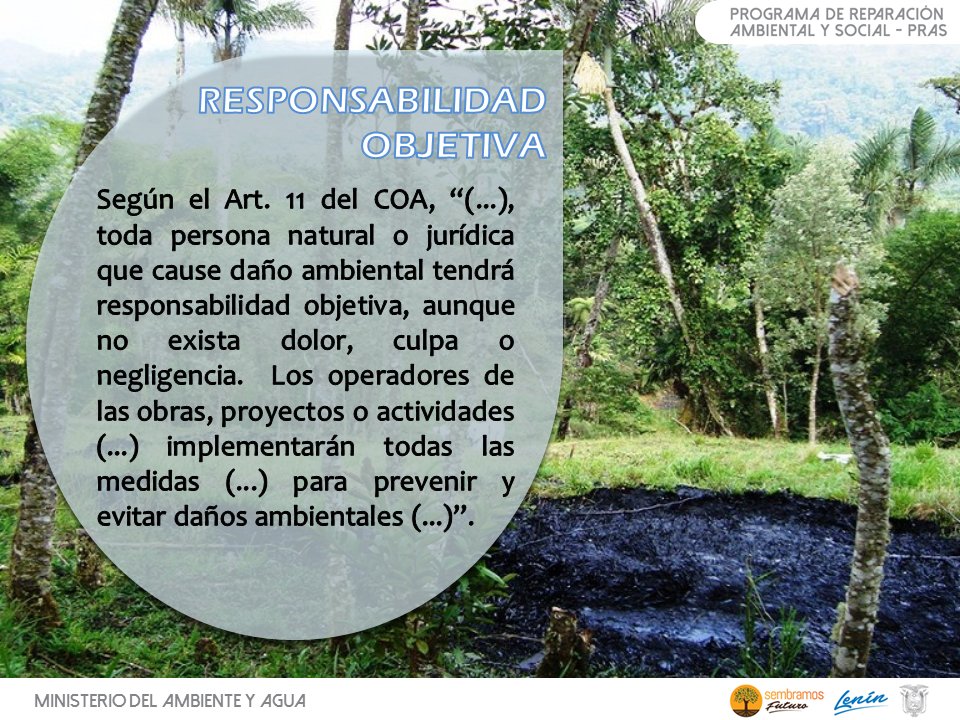 #SomosPRAS 🍃
TE PRESENTAMOS LOS CONCEPTOS DE:
🔘 Responsabilidad Ambiental.
🔘 Responsabilidad Objetiva.