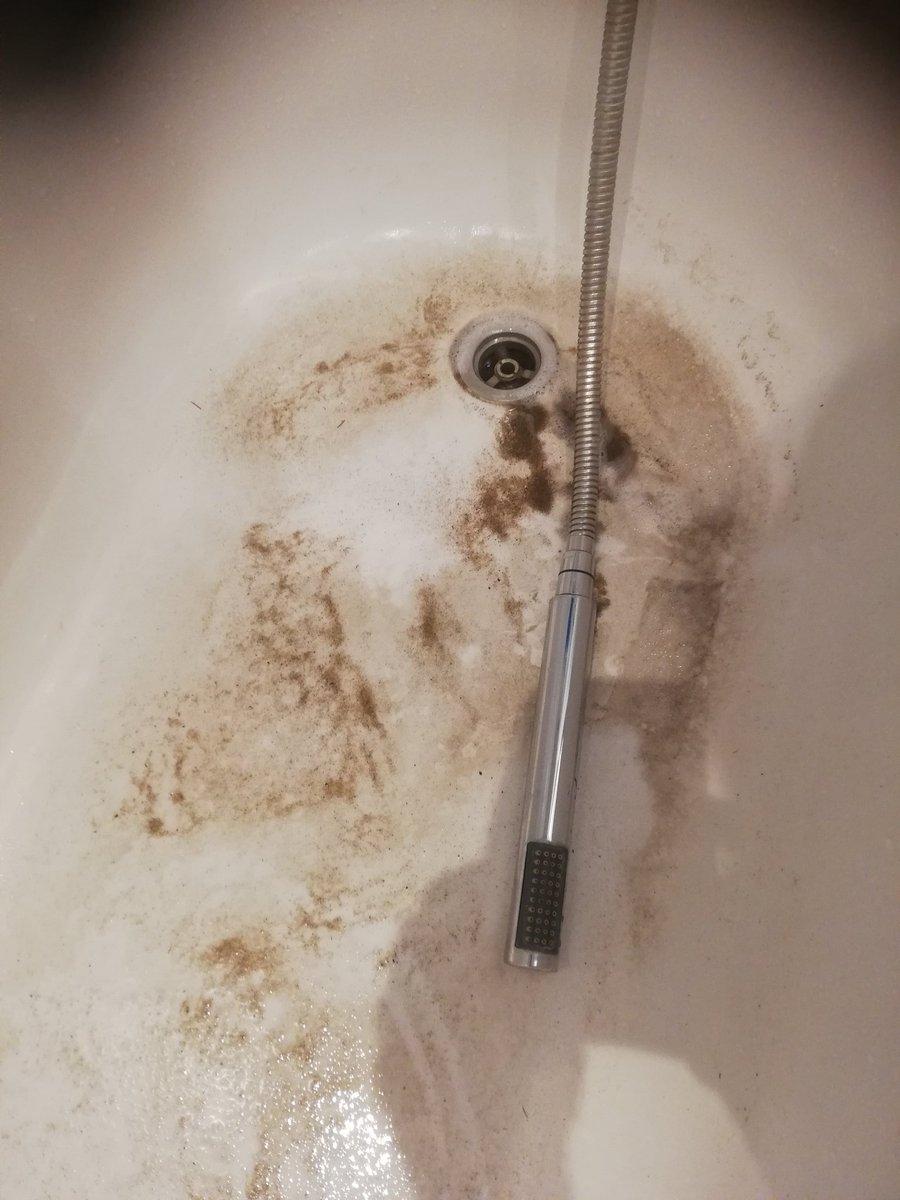 chrisilly's tweet image. Bathtub carnage after another muddy run - amazing just how much dirt these dogs manage to bring home with them! #bathtubcarnage @dogfituk @mileswithshell  #ukrunchat #runwithdogs